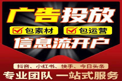 竞价广告的投放时机与频次选择——基于案例的探讨